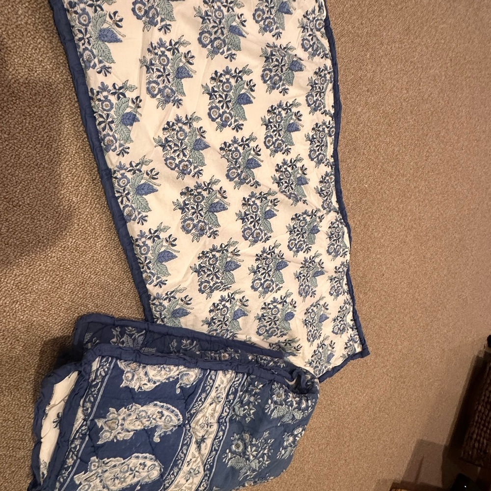 Pair Pottery Barn king shams - Picture 9 of 11